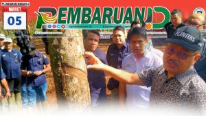 PTPN VII Padang Pelawi Mutakhirkan Teknik Sadap Karet