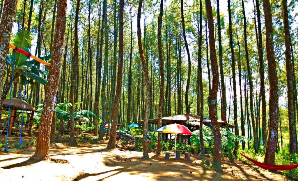 Rekomendasi Wisata Edukatif di Lampung