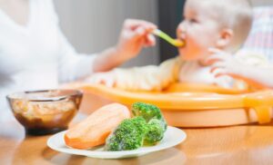 Panduan Lengkap Mempersiapkan MPASI Anak Usia 6 Bulan