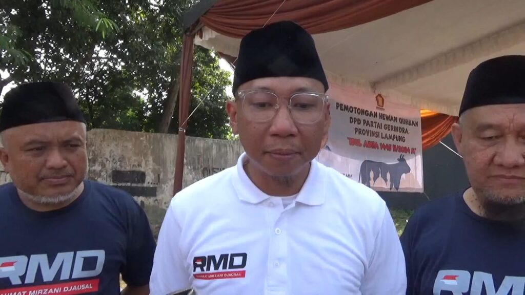 Balonwagub Pendamping Mirza, Tergantung Hasil Survey