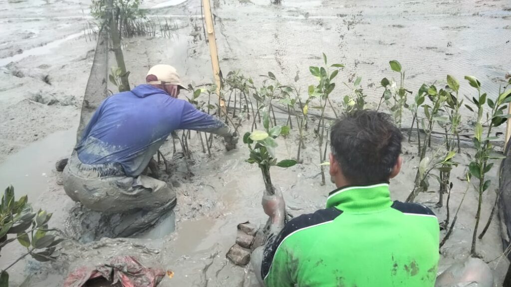 Menjaga Pesisir, Menyalakan Harapan: Komitmen PHE OSES untuk Masa Depan Bumi