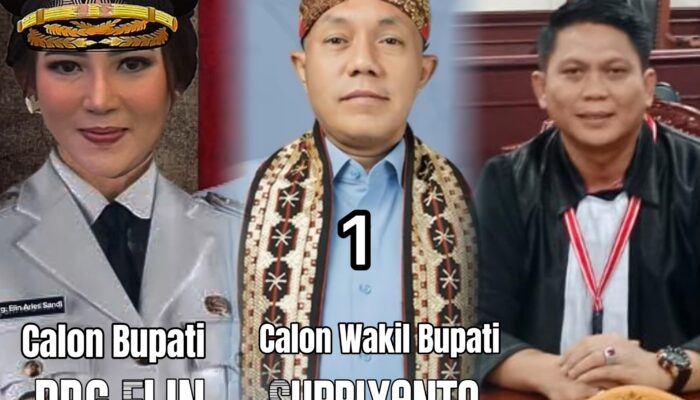 Istri Aries Sandi Disebut Bakal Maju di PSU Pilkada Pesawaran