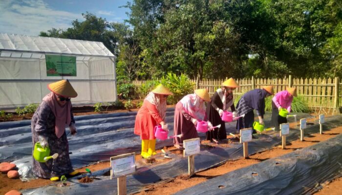 Ketum IKBI PTPN I Reg. 7 Kampanyekan Ketahanan Pangan dari Rumah
