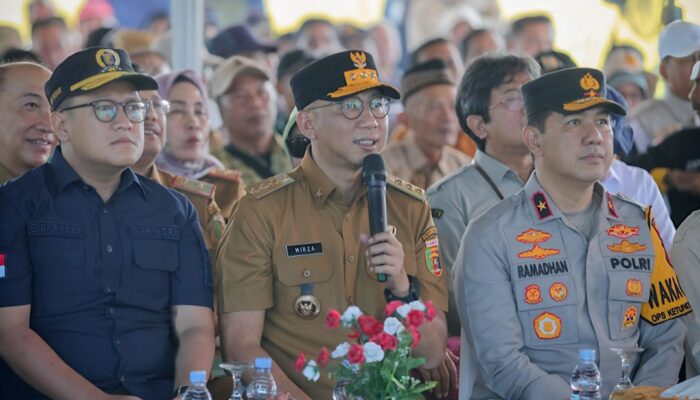 Lampung Proyeksikan Produksi Padi Tembus 3,5 Juta Ton pada 2025