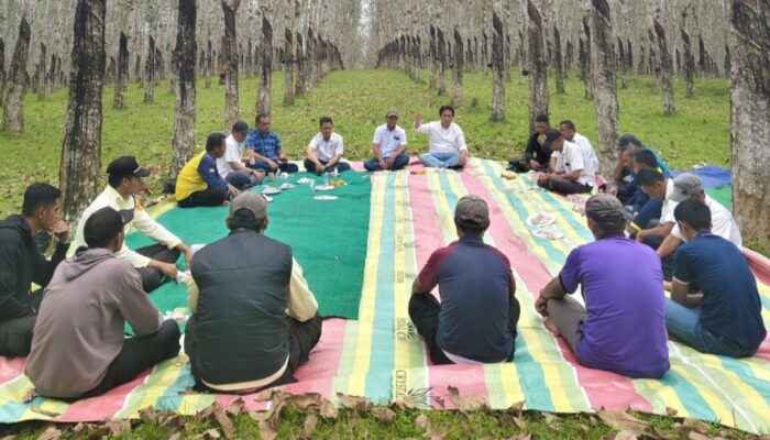 SEVP Operasional PTPN I Regional 7 Pacu Produksi dan Pastikan Mutu