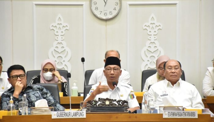 RMD Minta Singkong Jadi Komoditas Pangan Strategis Dilindungi UU