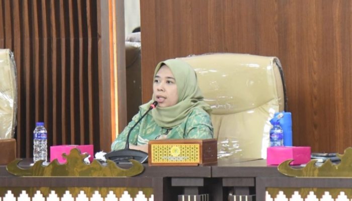 DPRD Pertegas Kawal Kerja RMD–Jihan