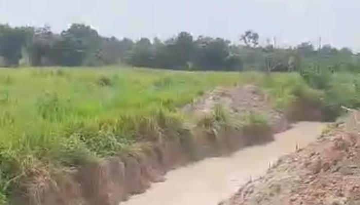 Dukung Ukuran Ulang HGU SGC, Warga Bakung Tuba Siap Berjuang