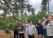 PTPN I Regional 7 Mantapkan Hilirisasi Komoditas