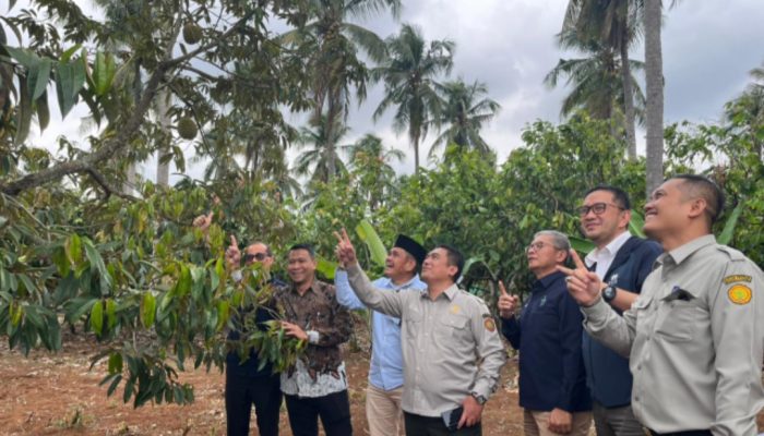 PTPN I Regional 7 Mantapkan Hilirisasi Komoditas