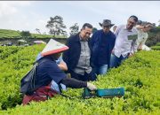 Teh, Teknologi, dan Transformasi: Langkah PTPN Menuju Perkebunan Cerdas