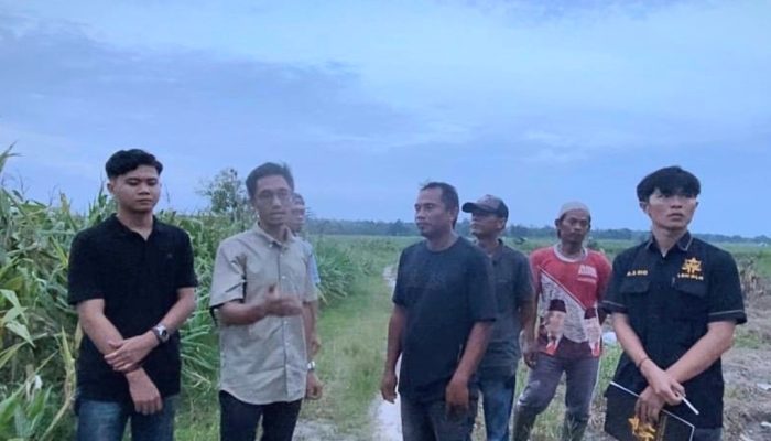Kades Tewas Terinjak Gajah TNWK, LBH DLN Desak Presiden Turun Tangan