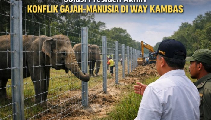 Solusi Presiden Akhiri Konflik Gajah-Manusia di Way Kambas
