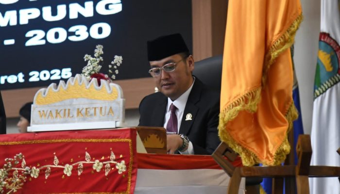 Taksi Listrik Masuk Lampung, DPRD Minta Aturan Tegas