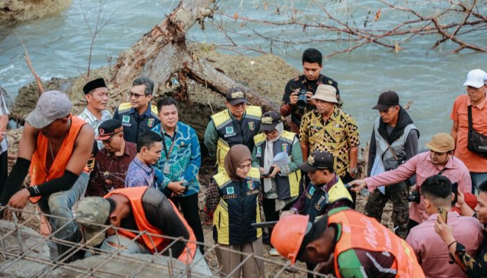 Pastikan Akses Tak Terputus, Wagub Tinjau Jalan Longsor di Tanggamus