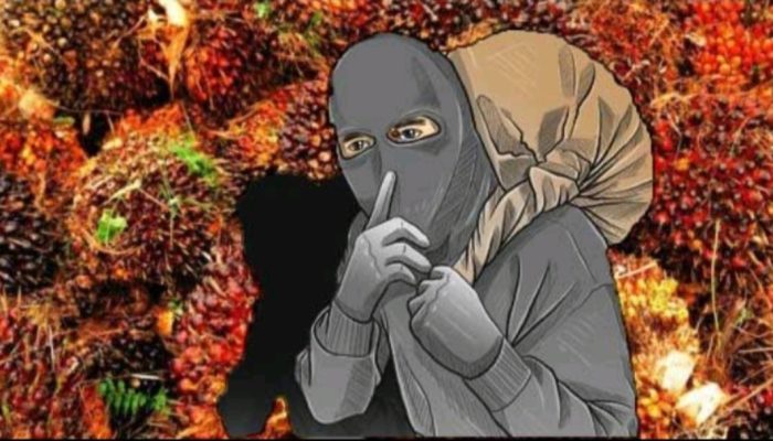 Teror Ninja Sawit di Way Kanan Berakhir di Tangan Polisi