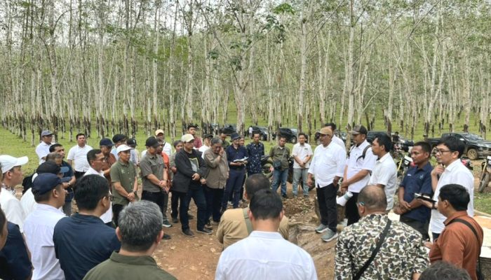 PTPN I Gaspol Dongkrak Produksi Karet Lewat Standarisasi Regional