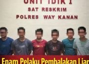 Grebek Pembalakan Liar di Register 42, 6 Pelaku Dibekuk Polisi