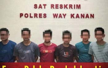 Grebek Pembalakan Liar di Register 42, 6 Pelaku Dibekuk Polisi